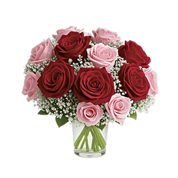 Crimson Rose Elegance