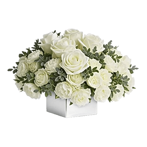 Ivory Blossom Radiance