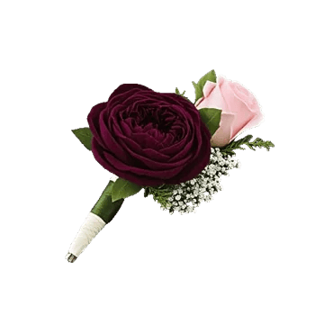 Delicate Petal Cascade