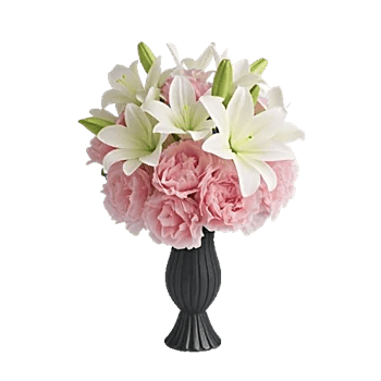 Ivory Blossom Radiance