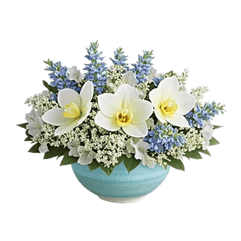 Minimalist White Orchids