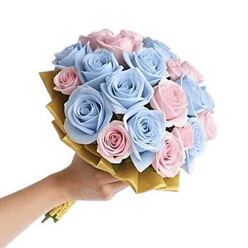Elegant Blue Roses