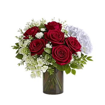 Crimson Blossom Harmony