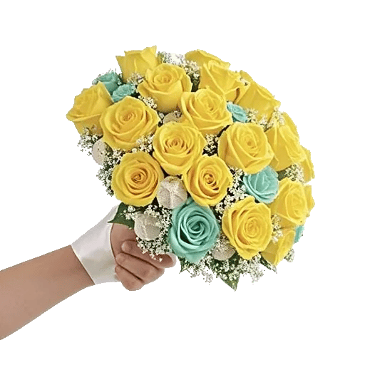 Pearl Rose Elegance