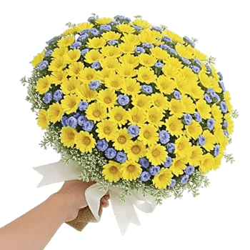 Blossom Petal Serenity