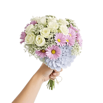 Serene Petal Harmony