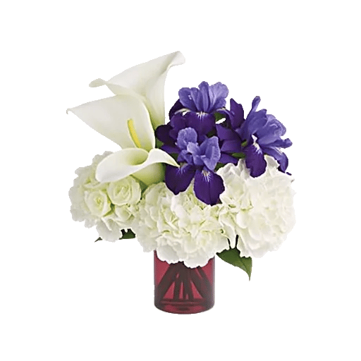 Elegant Calla Lilies