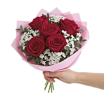 Crimson Rose Elegance