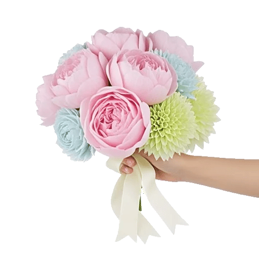 Peony Petal Harmony