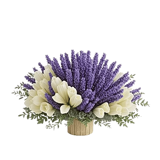 Lavender Bloom Grace