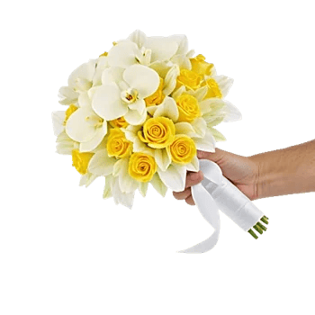 Modern White Orchids