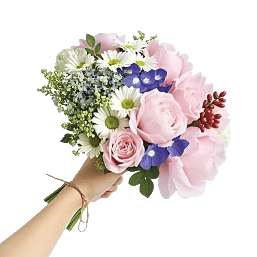 Blossom Harmony Display