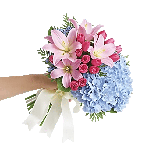 Blossom Petal Serenity