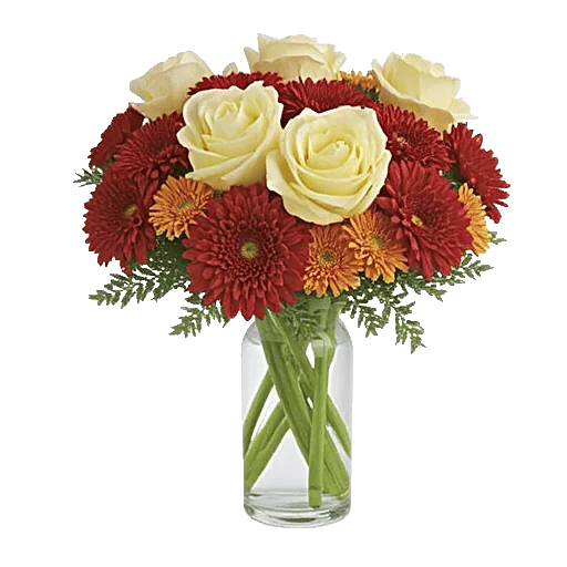 Petal Radiance Bliss