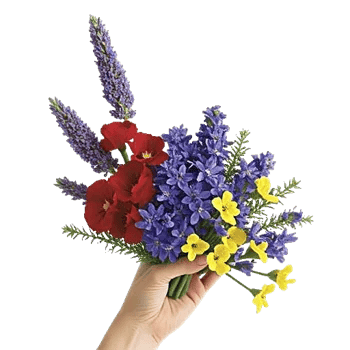 Lavender Bloom Grace