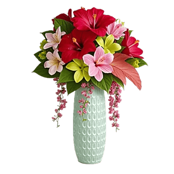 Coral Blossom Harmony