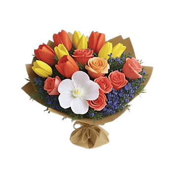 Tulip Rose Mix