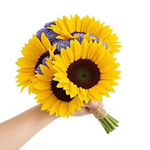 Twinkling Sunflower Dance