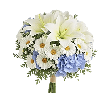 Ivory Blossom Radiance