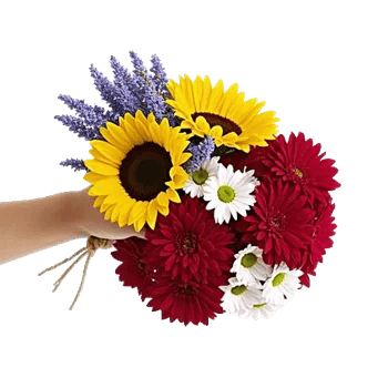 Radiant Bloom Cascade