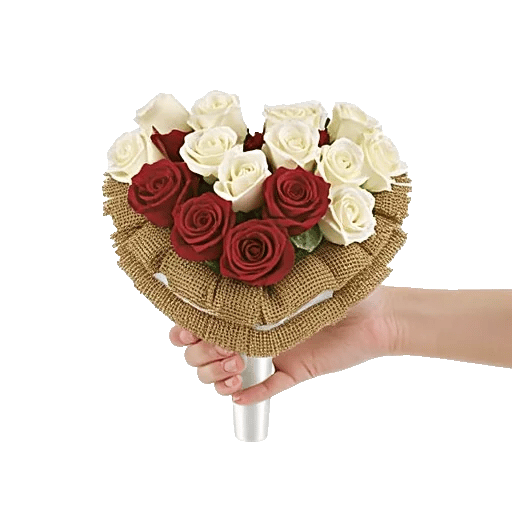 Blushing Rose Symphony