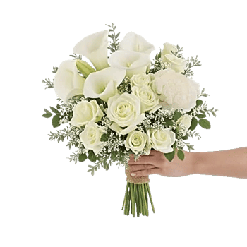 Elegant Calla Lilies