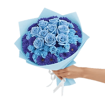 Elegant Blue Roses