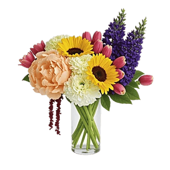 Petal Radiance Bliss