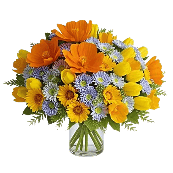 Petal Radiance Bliss