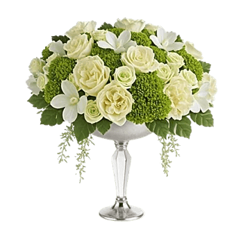 Ivory Blossom Radiance