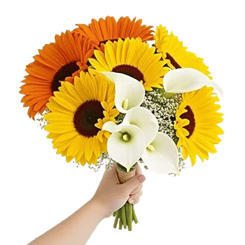 Twinkling Sunflower Dance