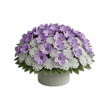 Lavender Bloom Grace