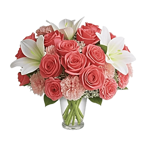 Coral Blossom Harmony