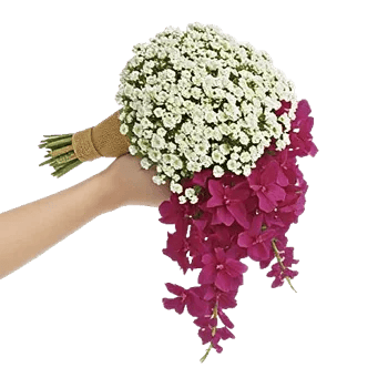 Delicate Petal Cascade