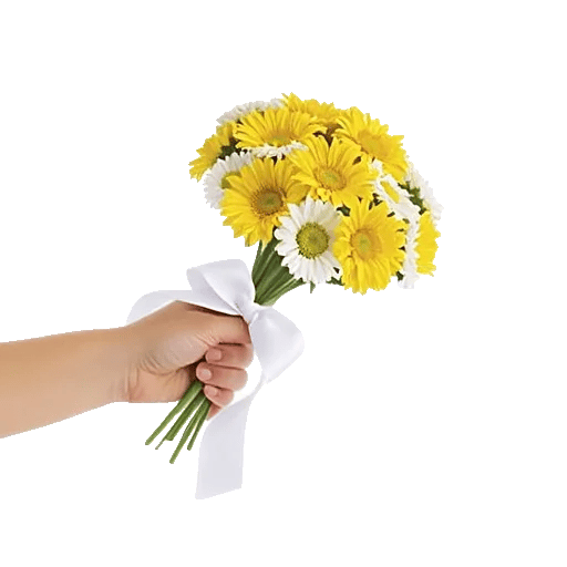 Blossom Harmony Display