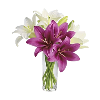 Graceful Lily Display