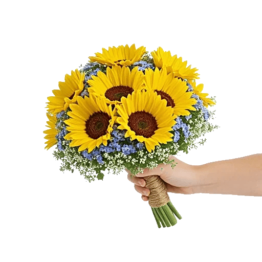 Twinkling Sunflower Dance