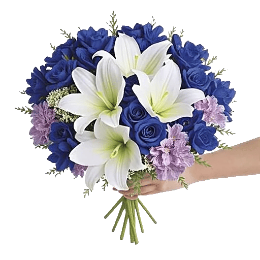 Blossom Petal Serenity