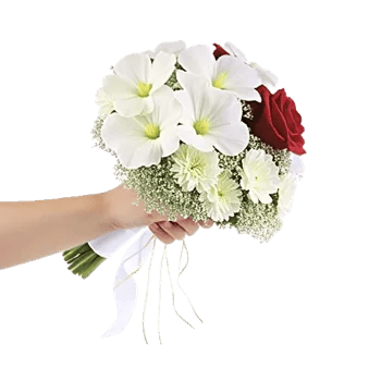 Delicate Petal Cascade