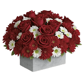 Crimson Blossom Harmony