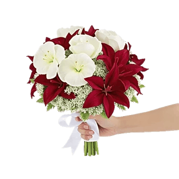 Ivory Blossom Radiance