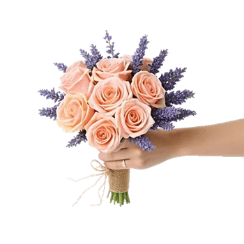 Pastel Pink Roses