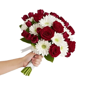 Scarlet Tulip Splendor