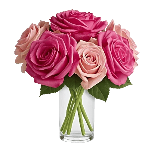 Glistening Rose Garden