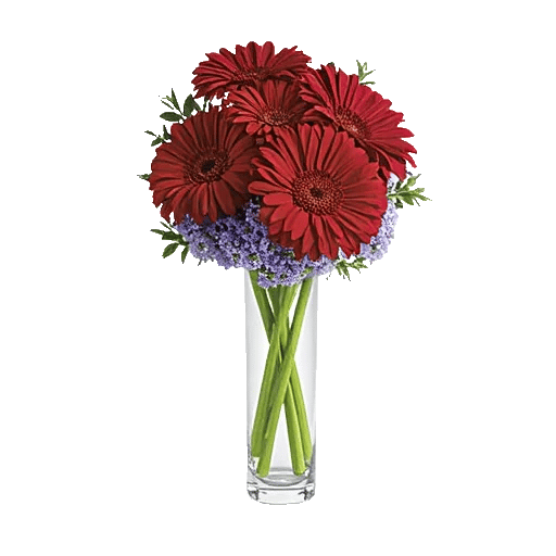 Crimson Blossom Harmony