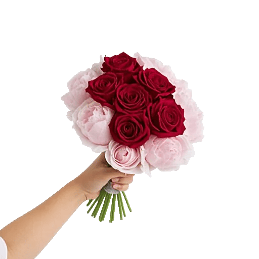 Peony Petal Harmony