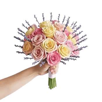 Pastel Pink Roses