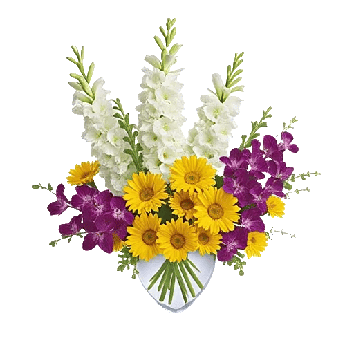 Enchanting Daisy Garden