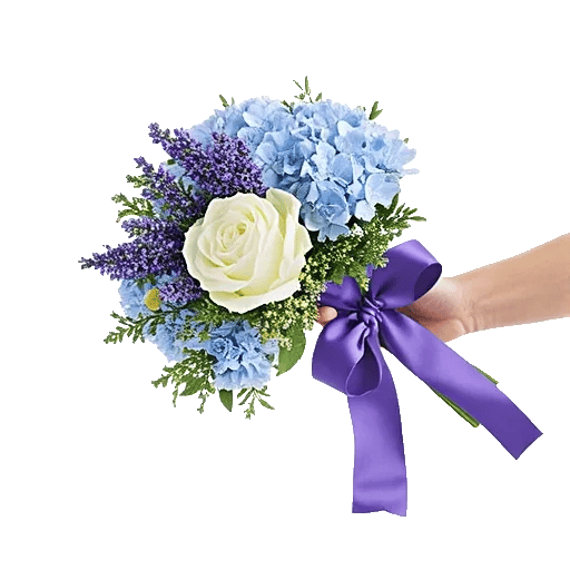 Serene Petal Harmony