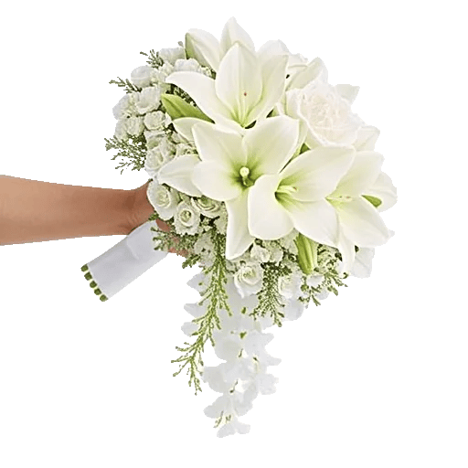 Orchid Bloom Cascade